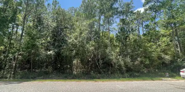 Lot 17 Poinsetta Loop