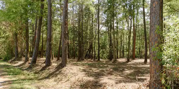 Honduras Drive