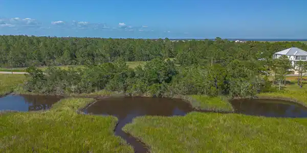 Image 4: Aerial View
