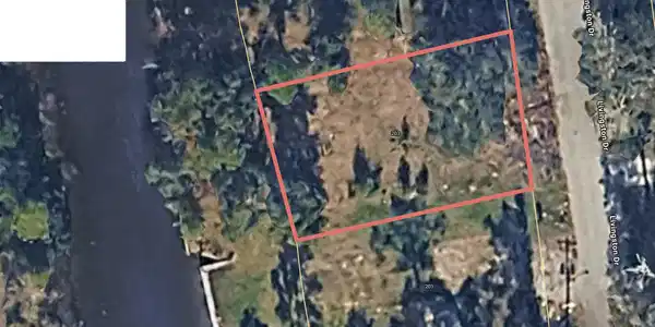 Image 4: 203 LivingstonDr