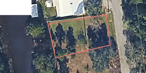 Image 4: 205 LivingstonDr