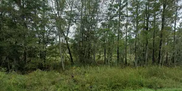 Orange Grove Road