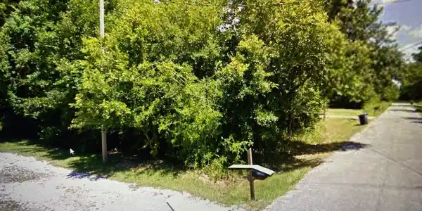 Fawn Street