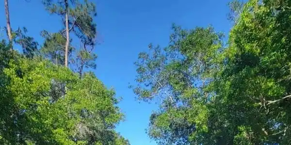 Lot 38 Eighth Street
