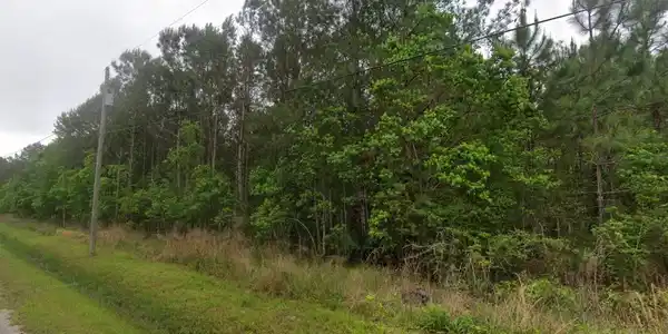 Image 2: 2