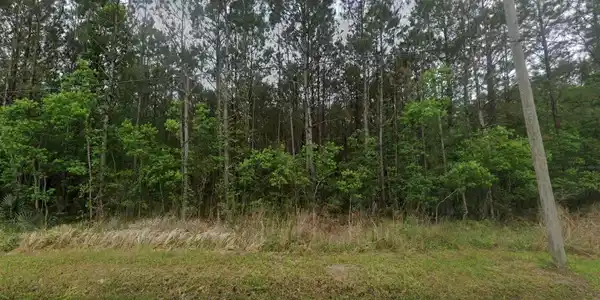 Image 3: 3