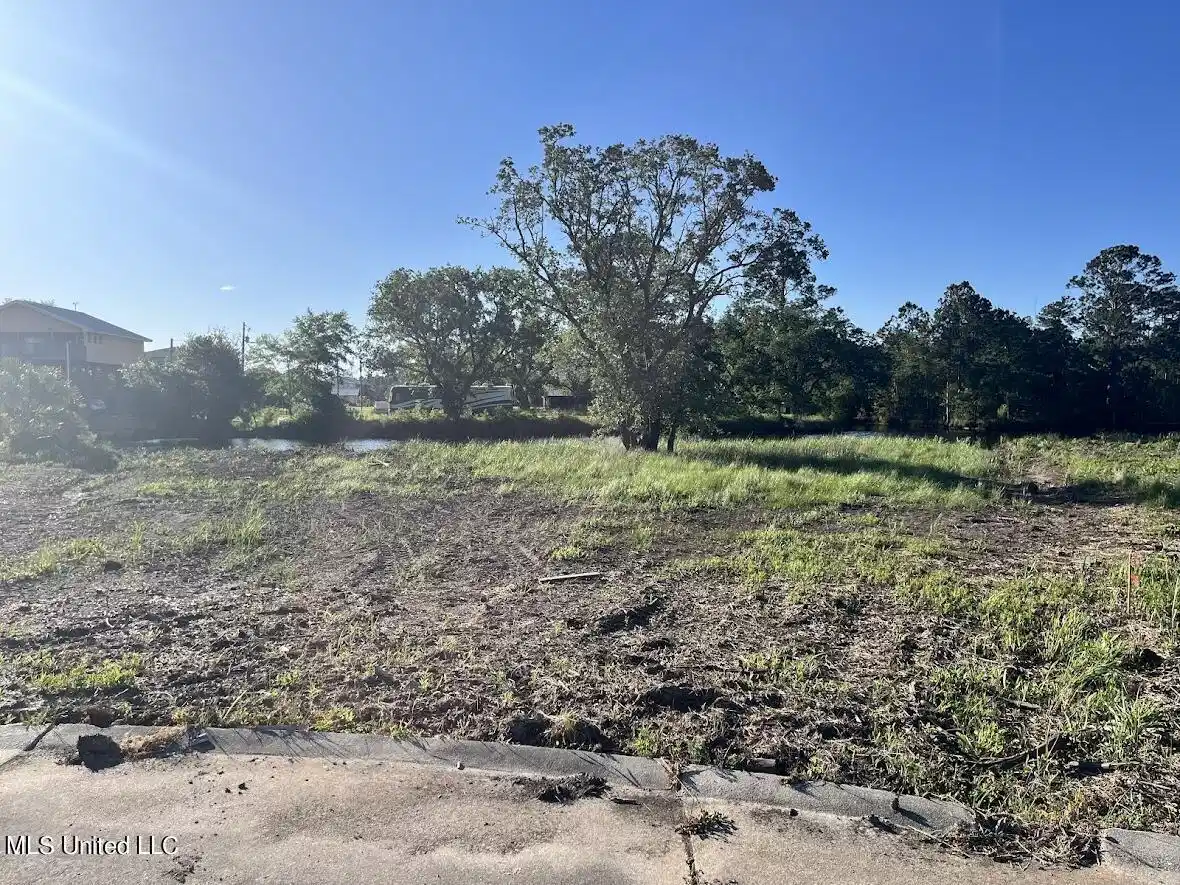 Image 1: Lot 81