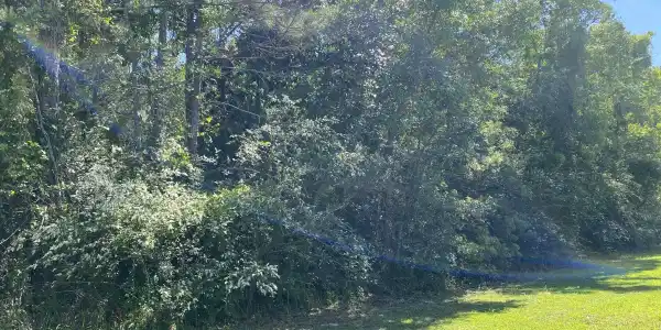 Oaklawn Road