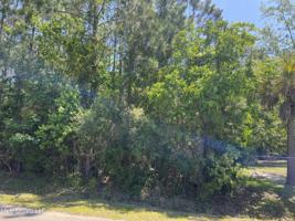 Suzanne Lot 34 Avenue