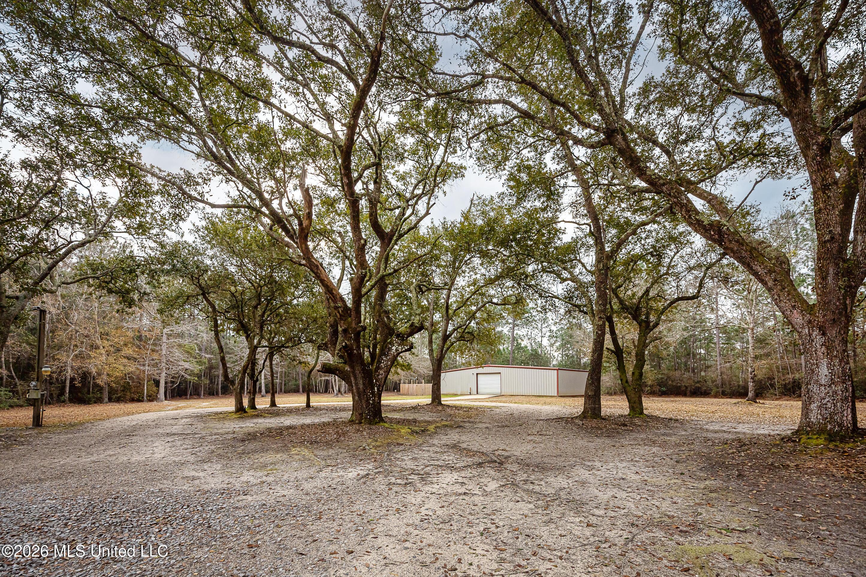 Image 4: IMG_6815