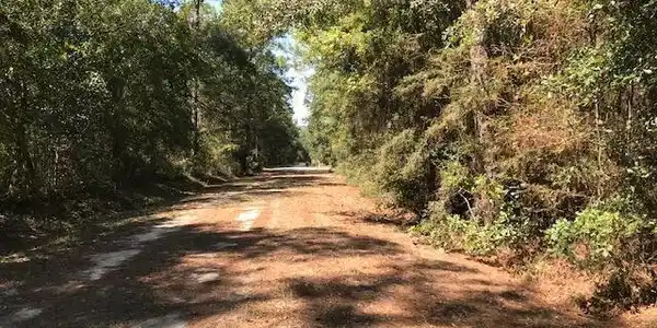 Gum Street