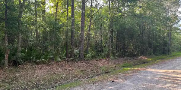 Lot 1356 Anderson Street