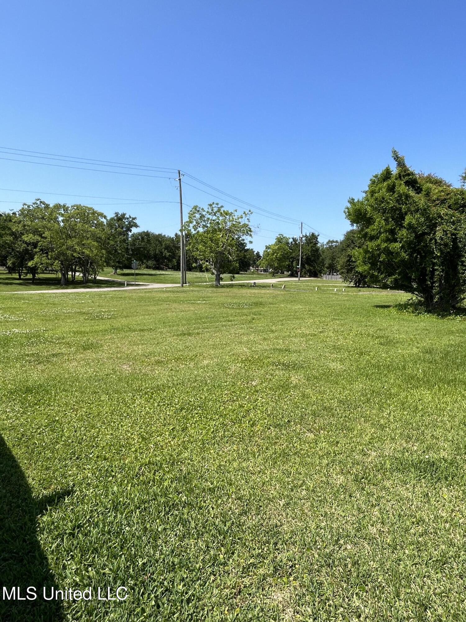 Image 3: IMG-0355