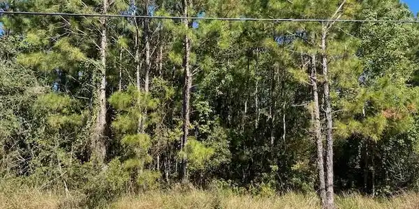 Cain Road