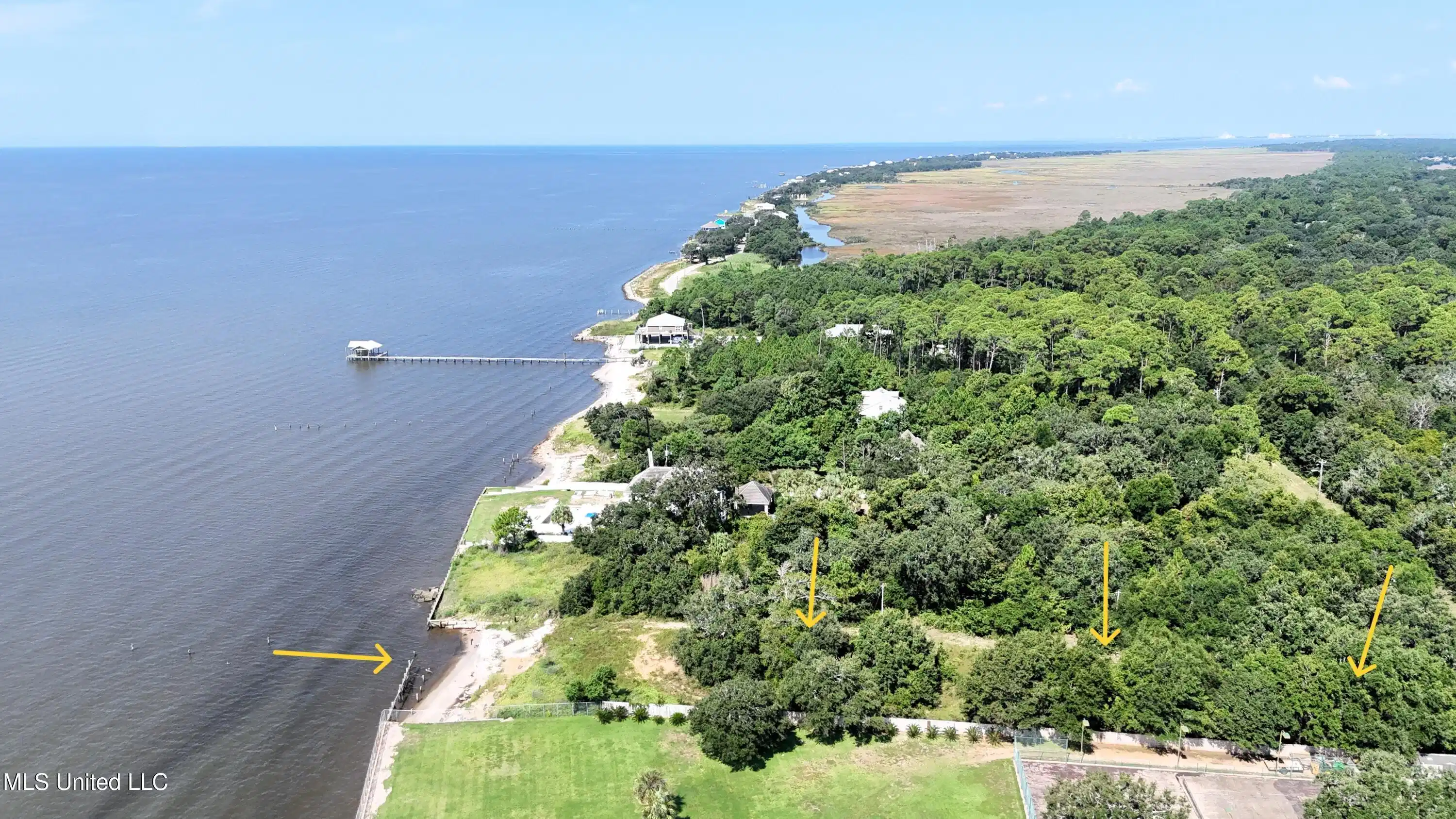 Image 1: DJI_20250818103845_0267_D