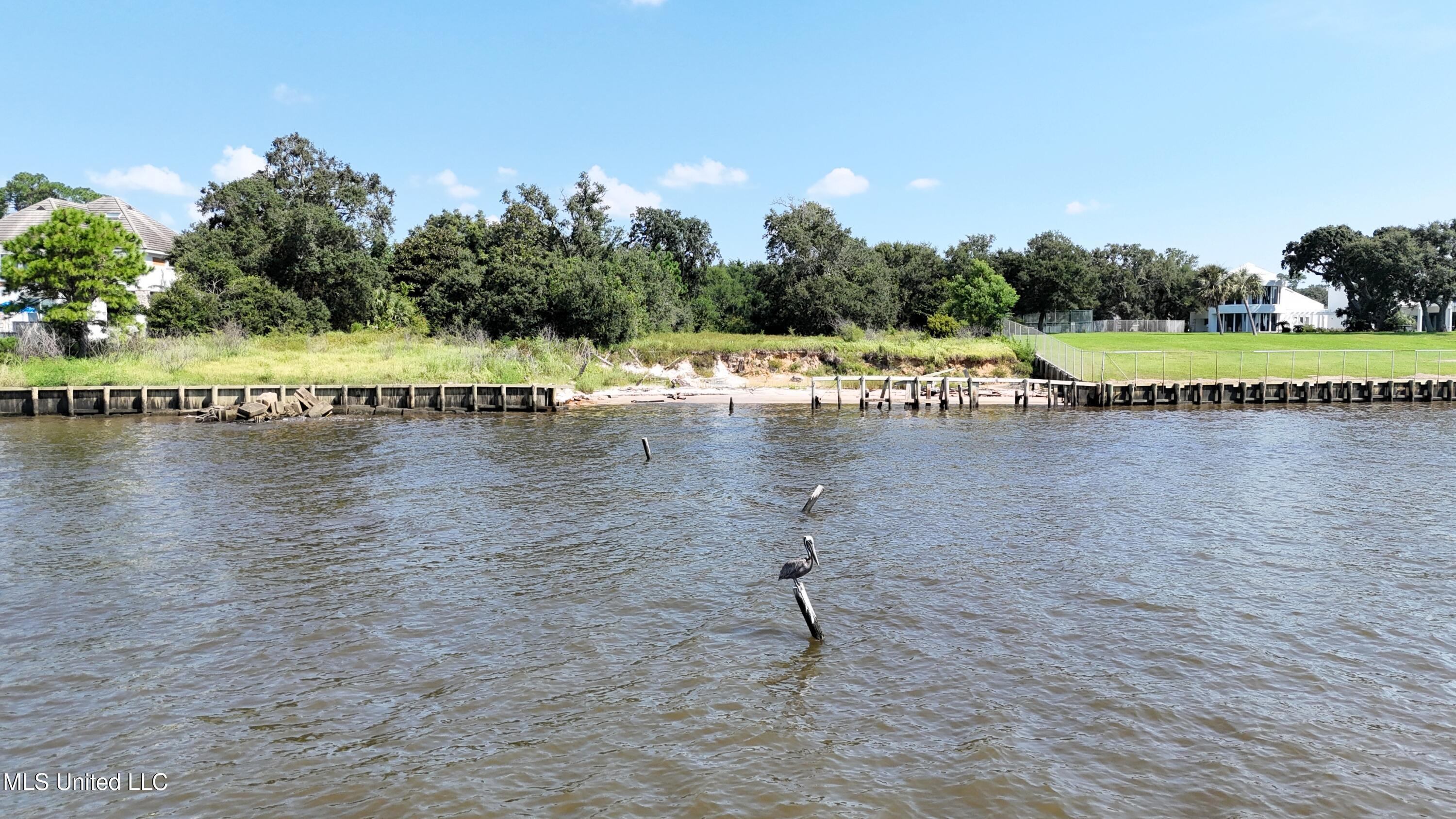 Image 2: DJI_20250818104008_0274_D
