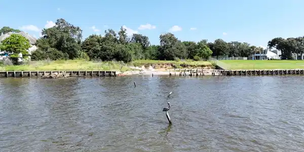 Image 2: DJI_20250818104008_0274_D
