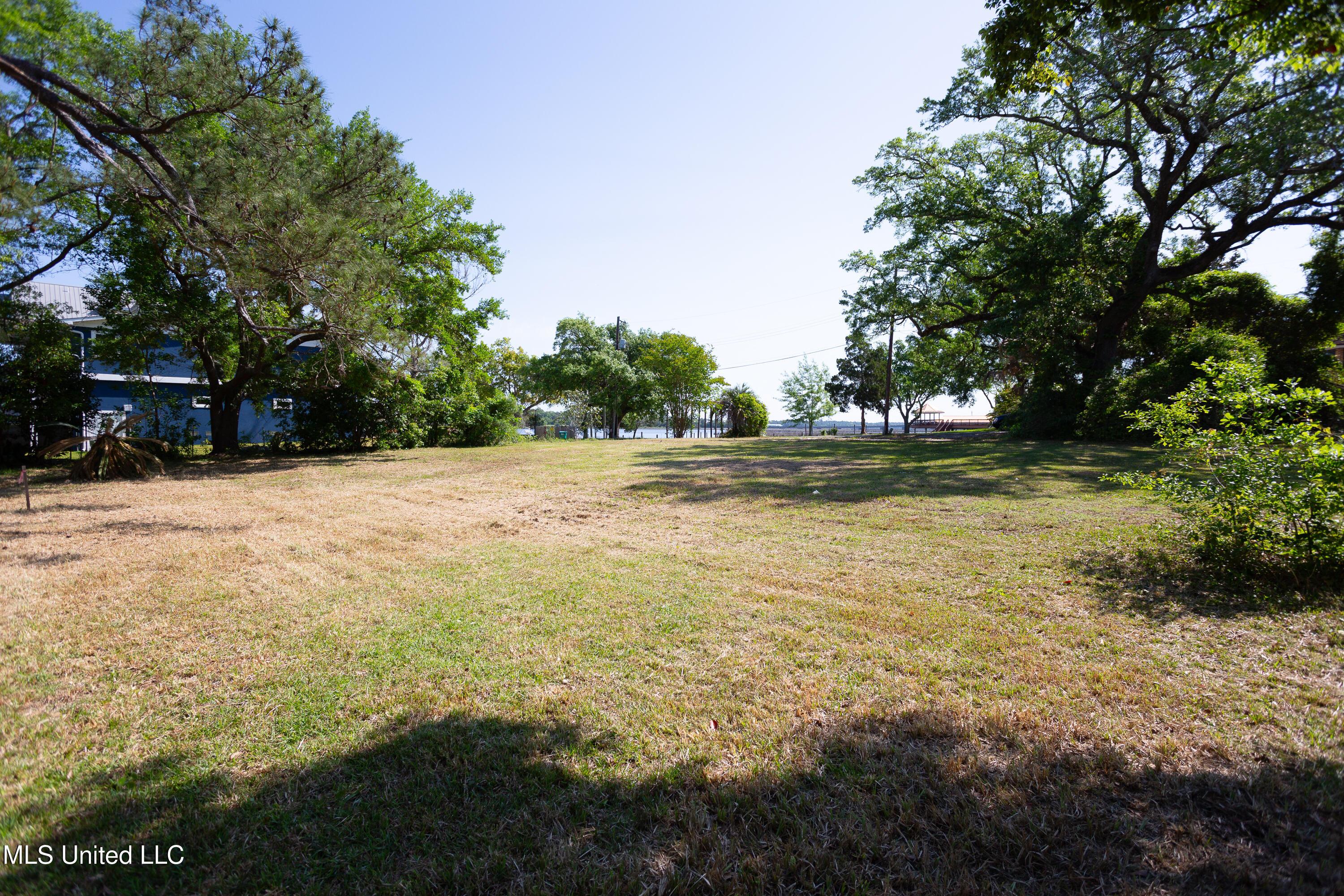 Image 3: IMG_0061