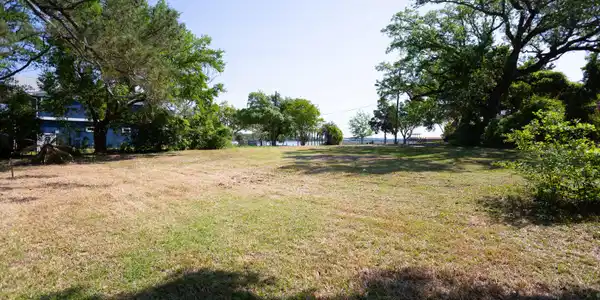 Image 3: IMG_0061