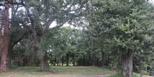 Fournier Avenue