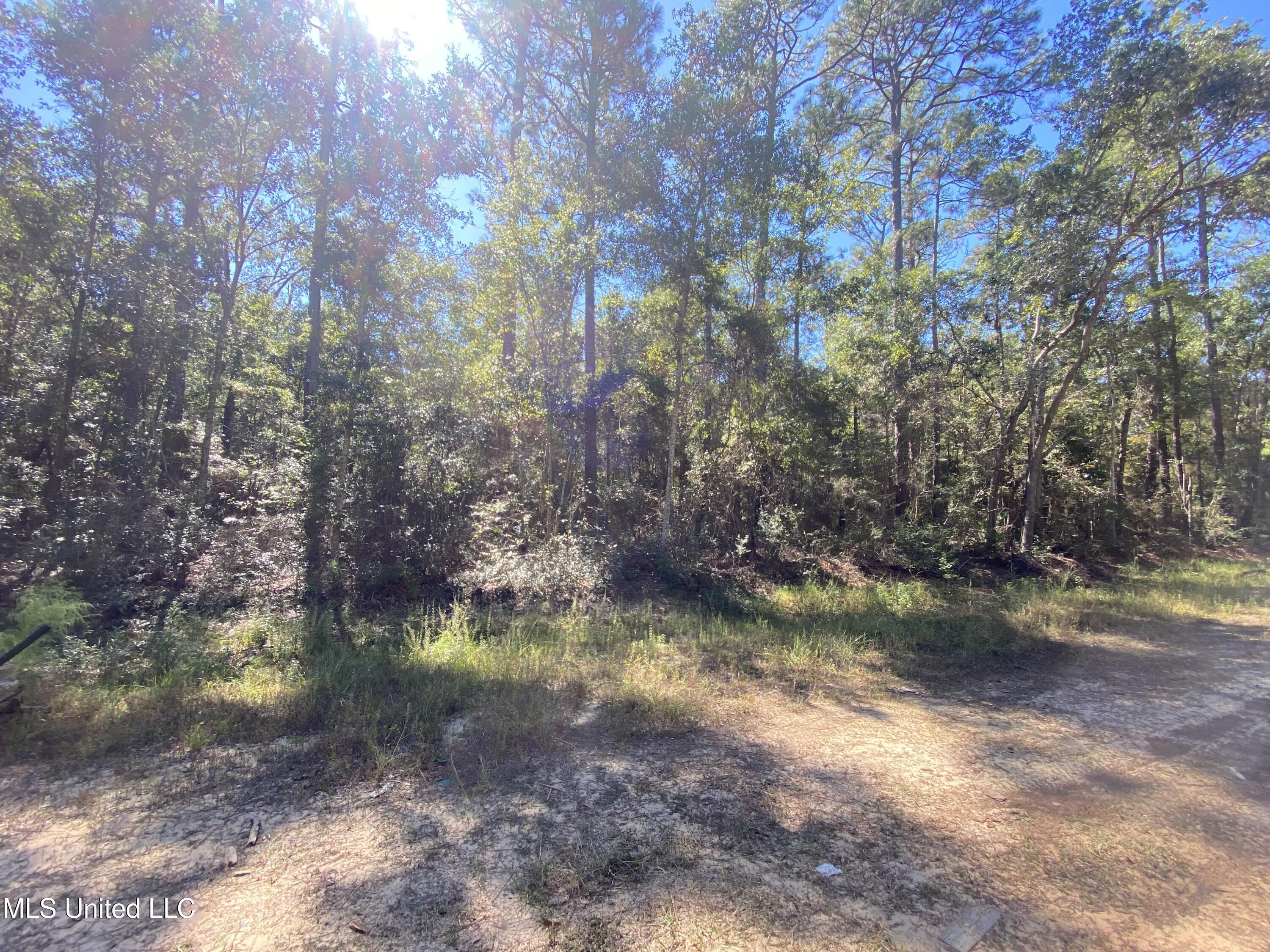 Image 3: IMG_5211