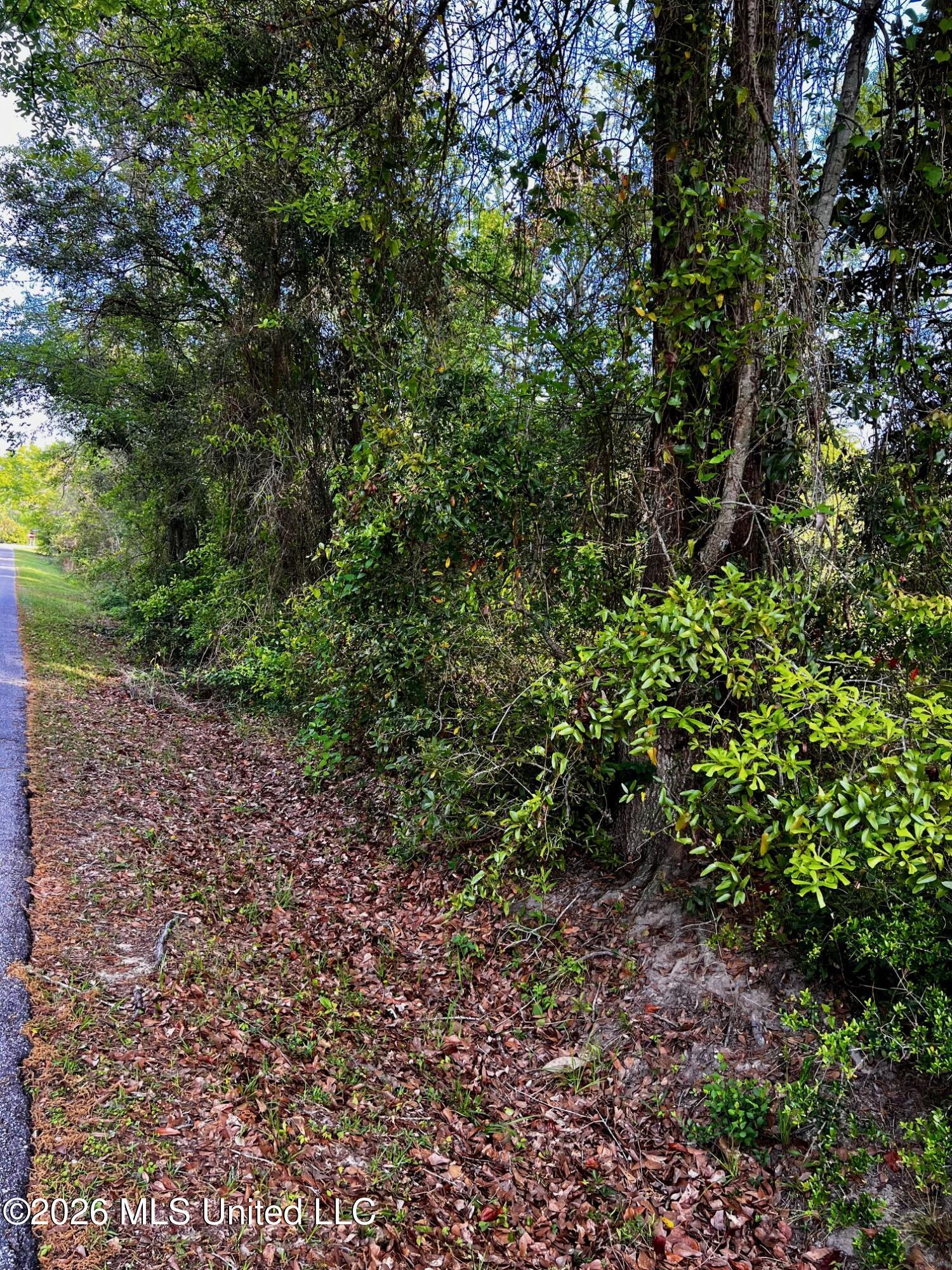 Image 1: Road Frontage Looking NW