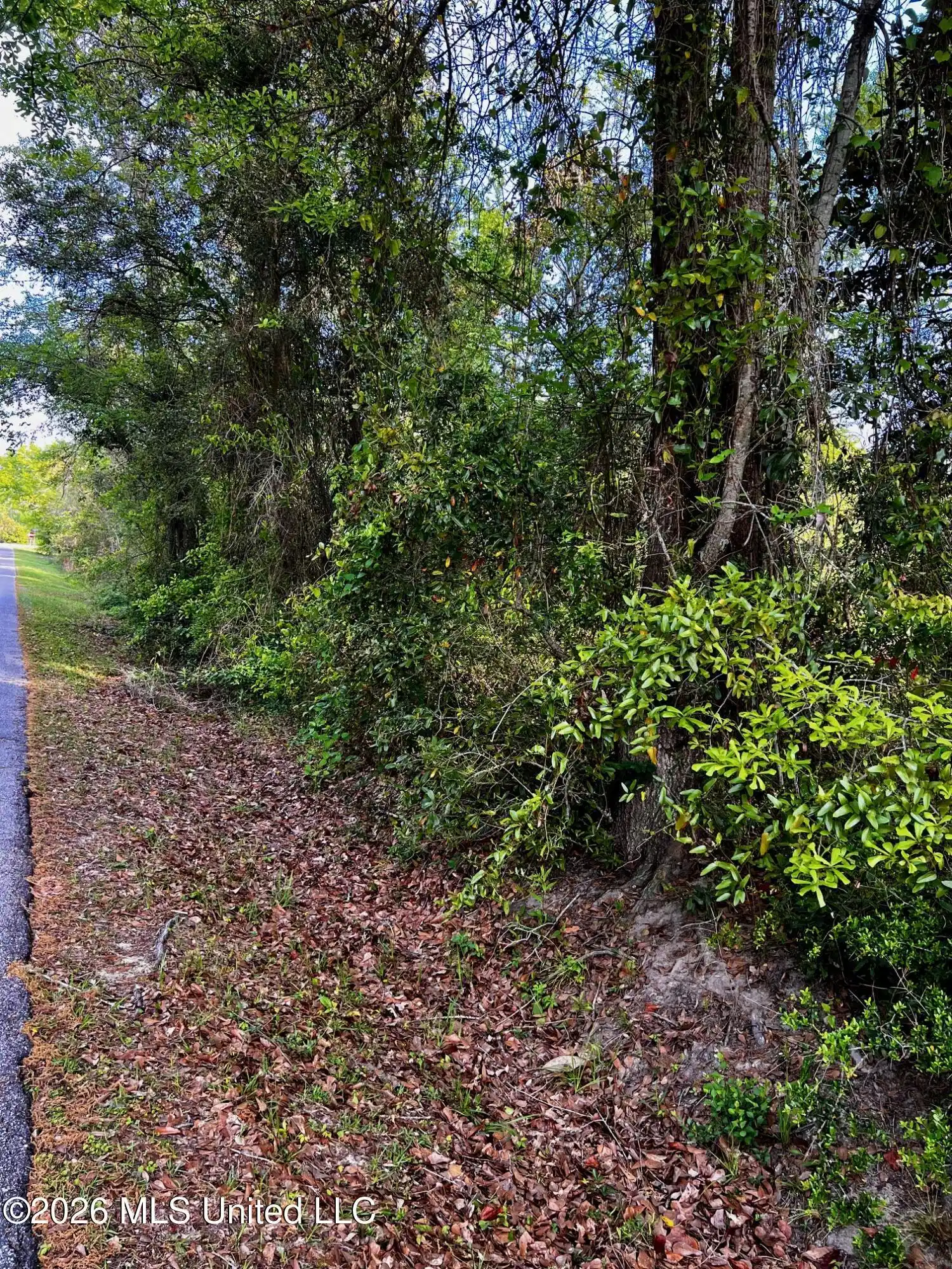 Image 1: Road Frontage Looking NW