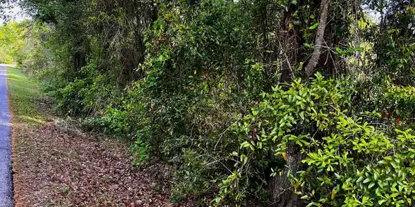 Pine Ridge Drive