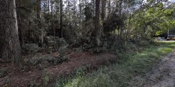 Image 3: land