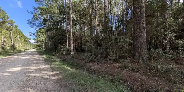 Image 4: Street view on W. Newton