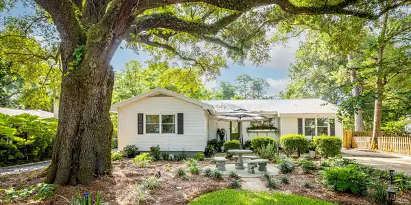 116 Pine Drive