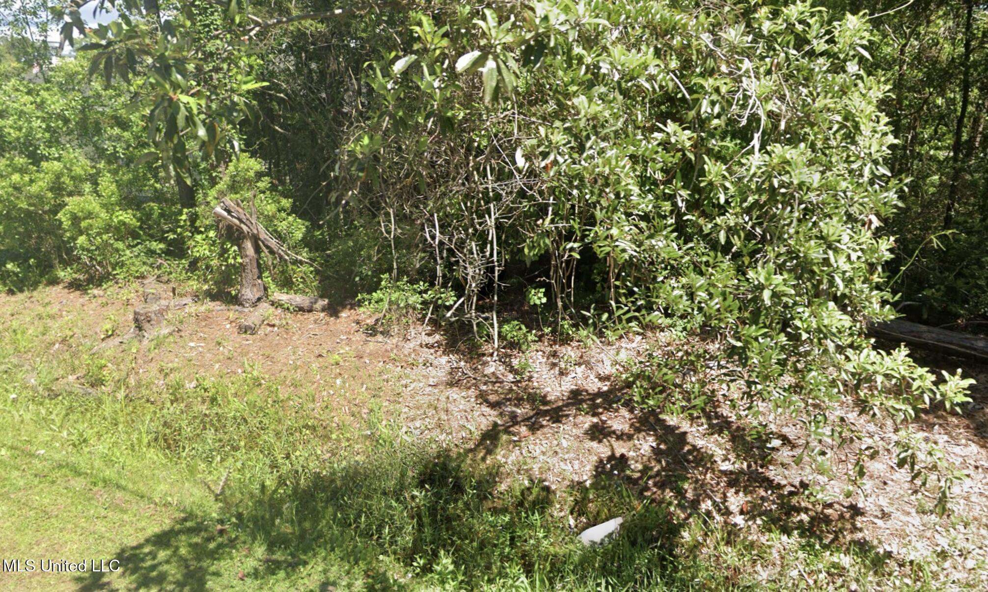 Image 3: IMG_0482