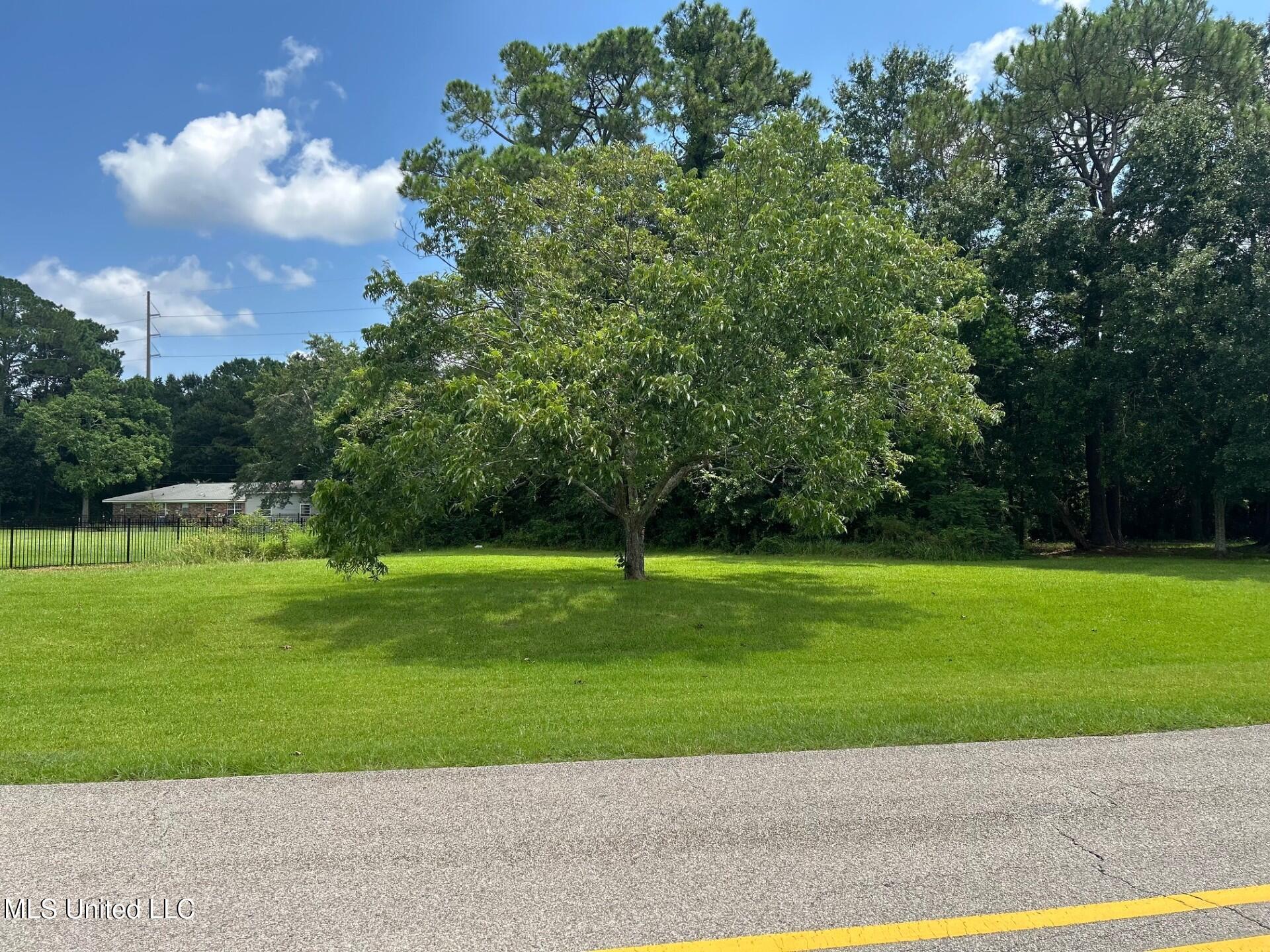 Image 1: Front of lot