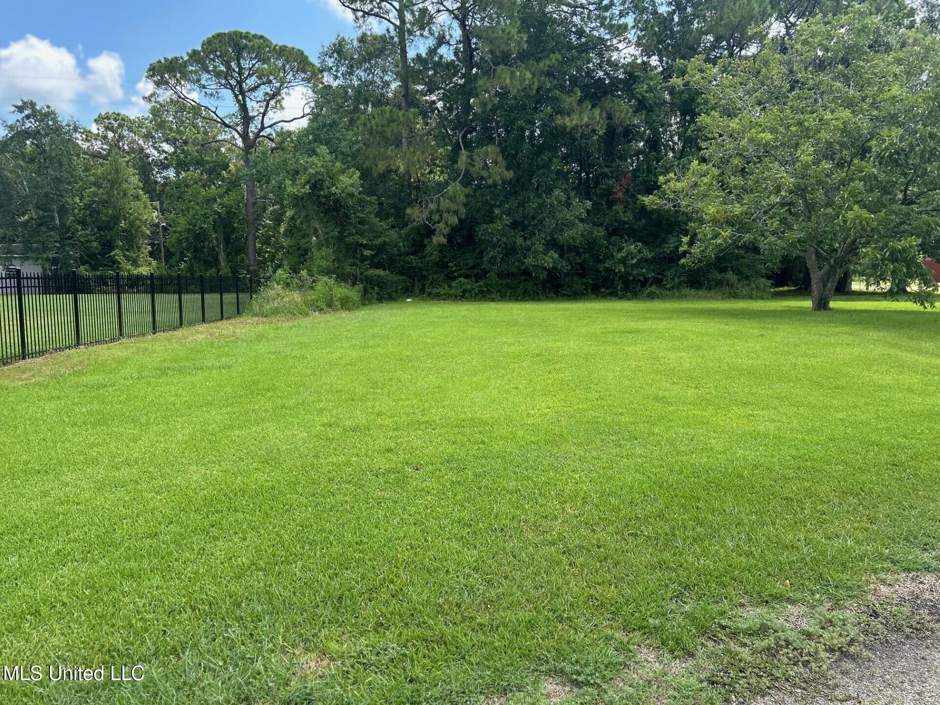 Image 2: lot 2