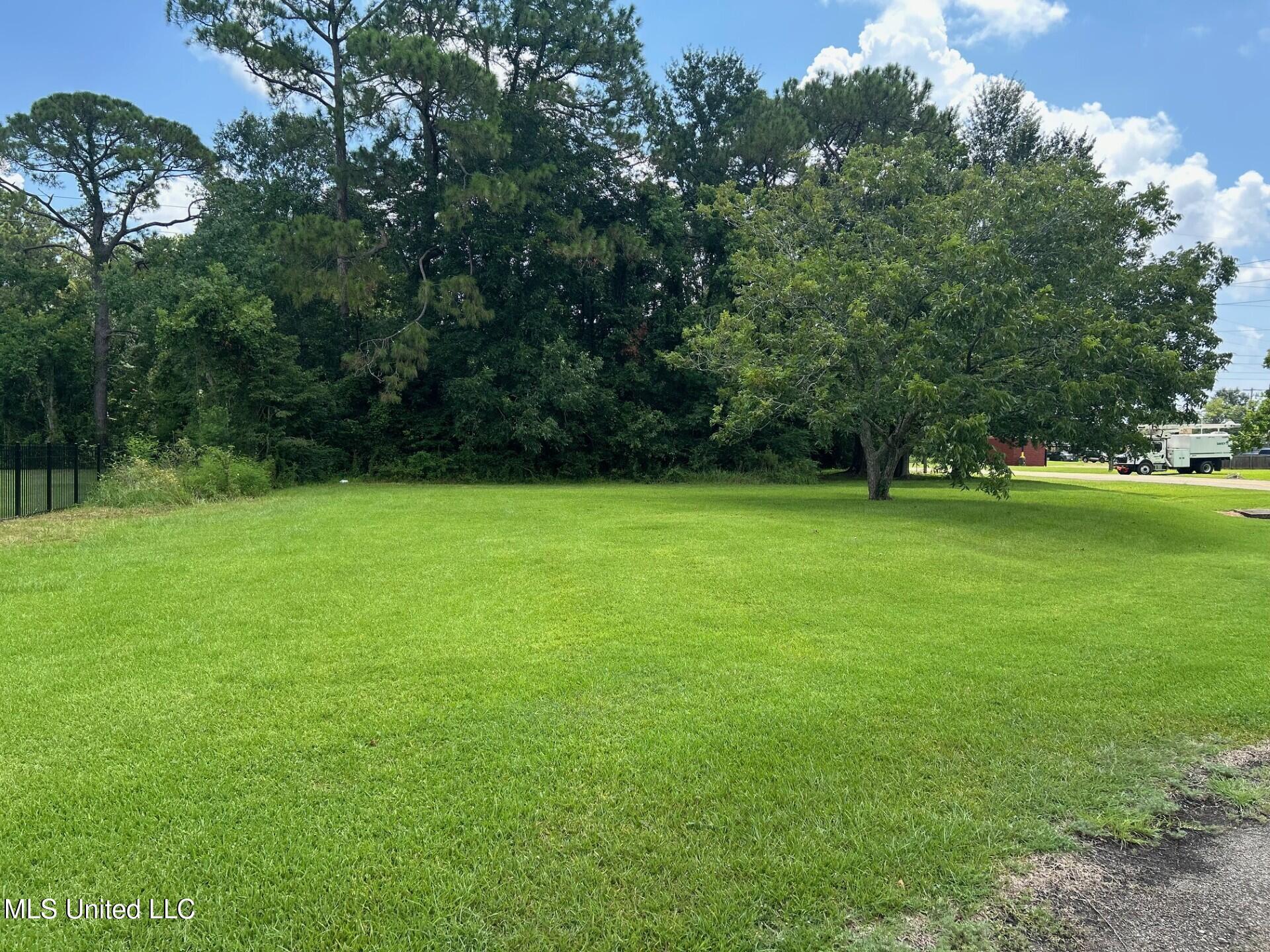 Image 3: lot 3