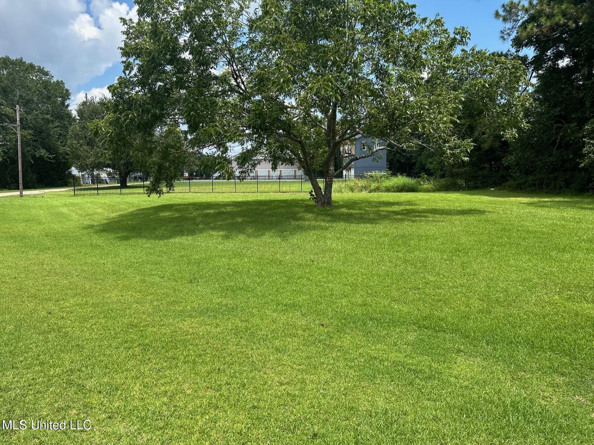 Image 4: lot 4