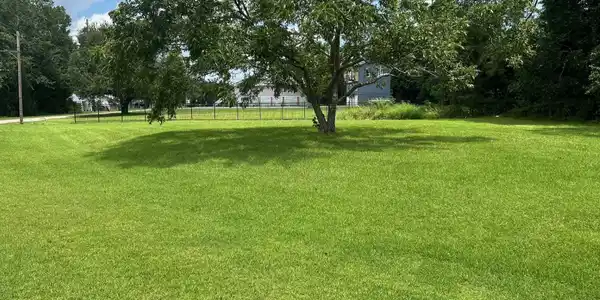 Image 4: lot 4