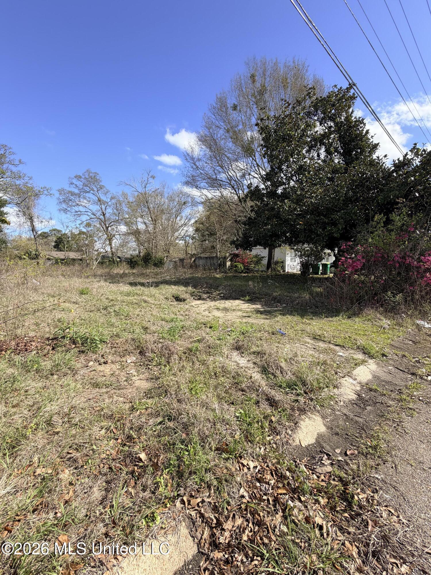 Image 3: IMG_0016