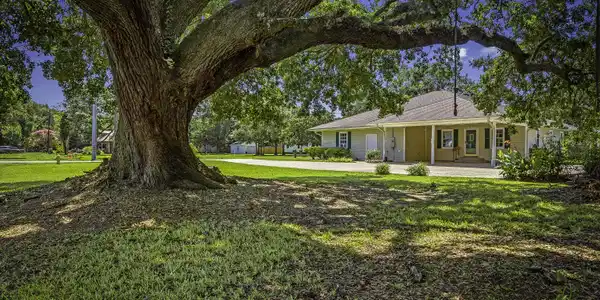Image 3: Mature Established Landscape