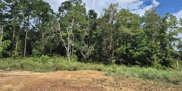 Kiln Waveland Cutoff Road