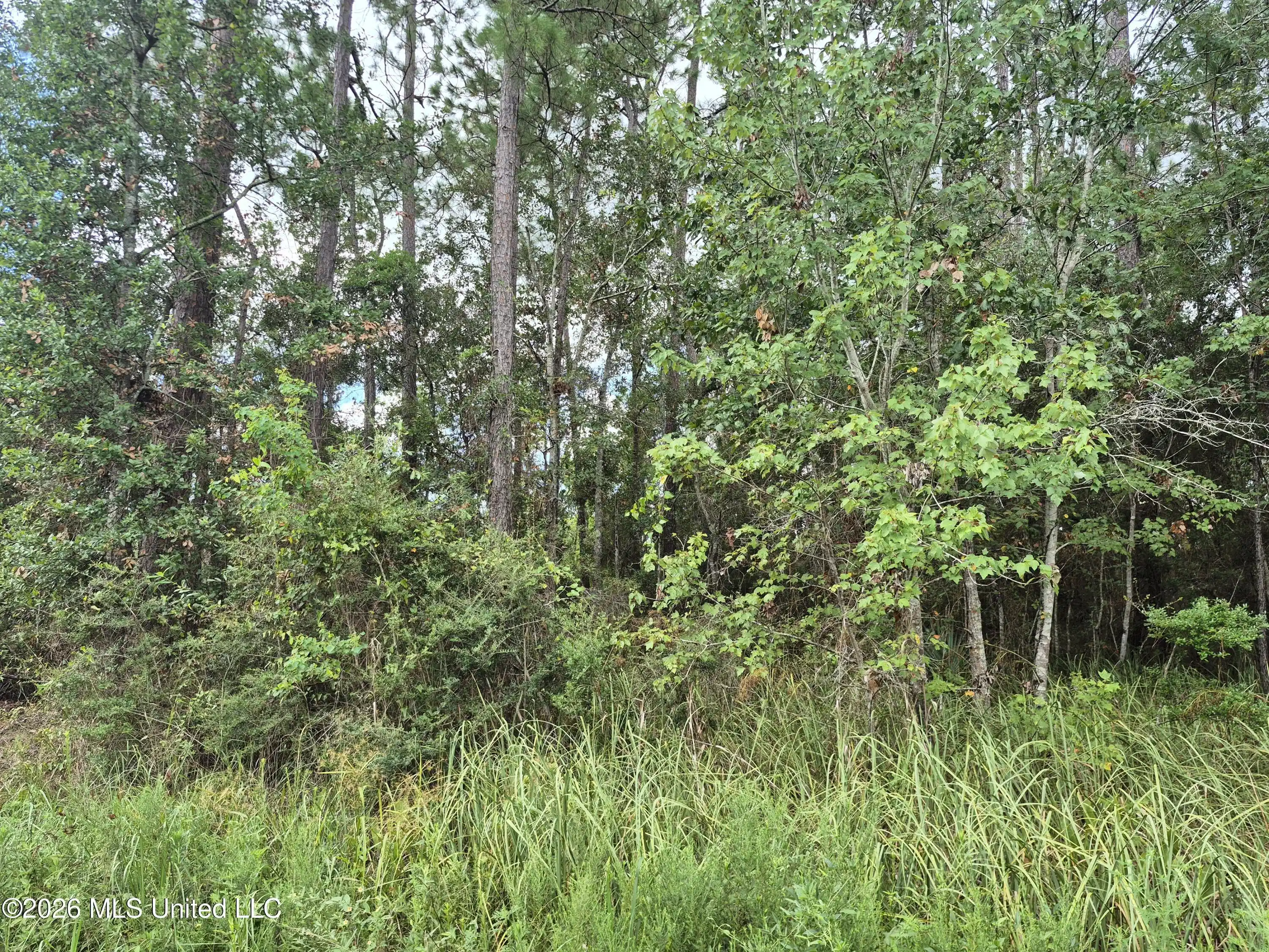 Image 1: Onega st