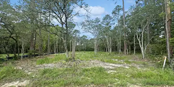 Lot 20 Birch, Lot 23 Pinewood