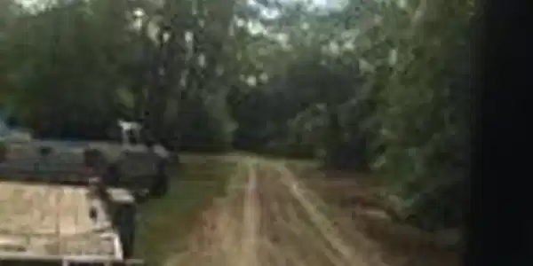 Image 3: 20220126154447254022000000-o