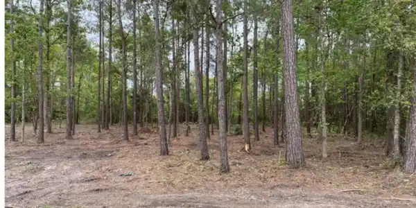 Lot 44 Basswood Drive