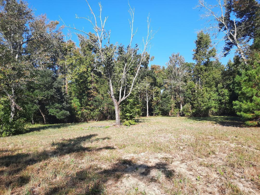 Image 3: Partially cleared