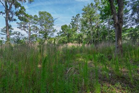 8326 Shell House Road