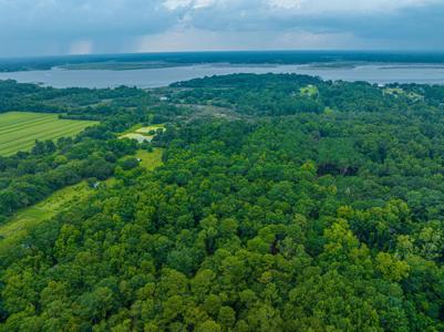 1 Back A Wood Road, Wadmalaw Island SC 29487