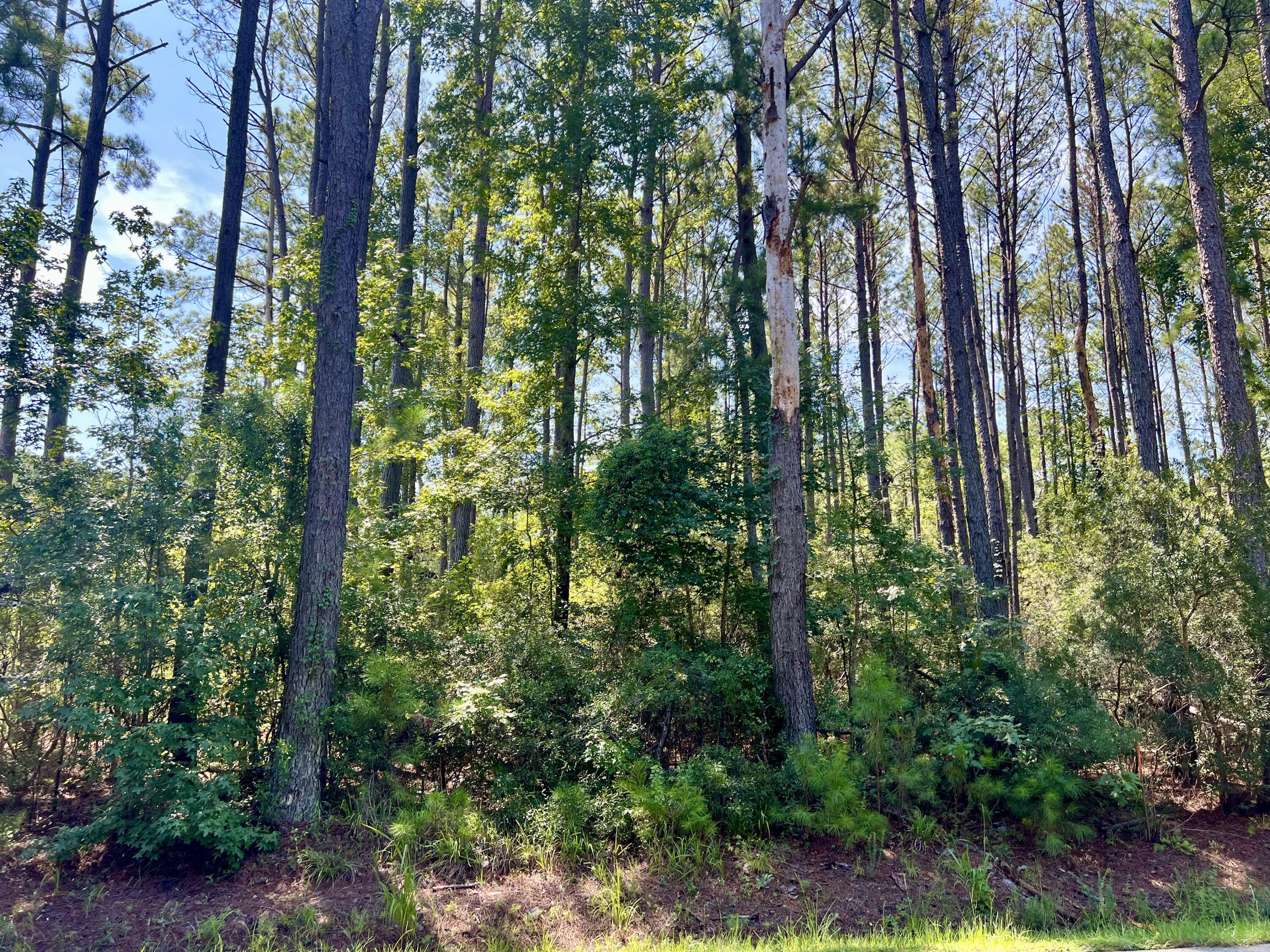 Image 2: 387 Founders Oak Way