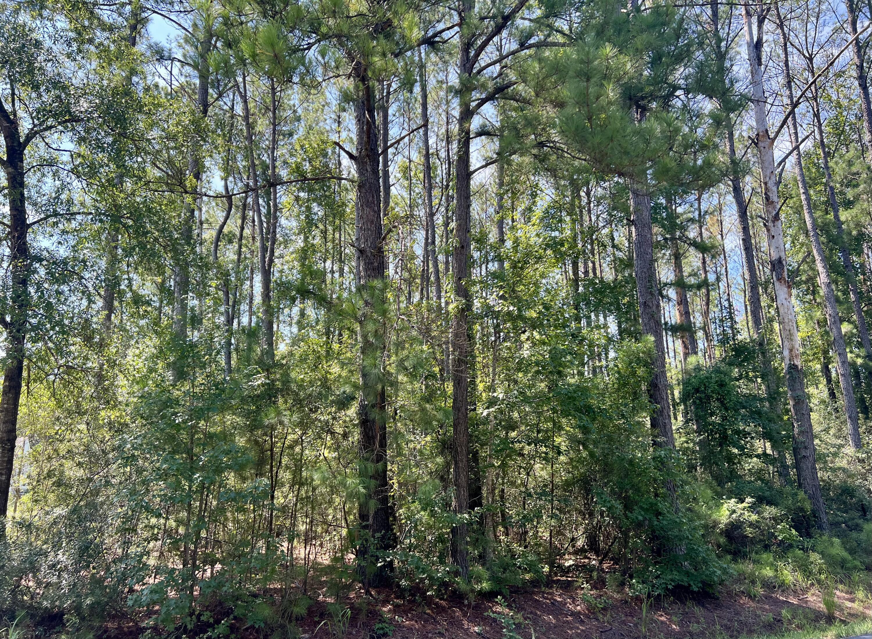 Image 4: 387 Founders Oak Way