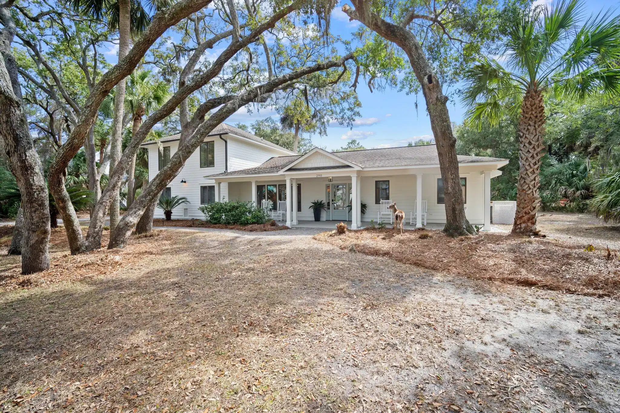 Image 1: 45-web-or-mls-DSC03627